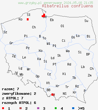 znaleziska Albatrellus confluens (naziemek ceglasty) na terenie Polski