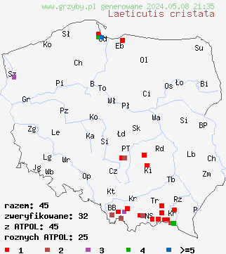 znaleziska Laeticutis cristata (naziemek zielonawy) na terenie Polski
