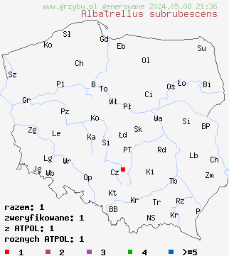 znaleziska Albatrellus subrubescens (naziemek żółtopomarańczowy) na terenie Polski