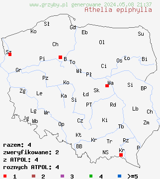 znaleziska Athelia epiphylla (błonka nalistna) na terenie Polski