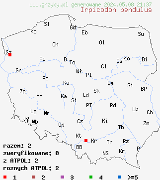znaleziska Irpicodon pendulus (radlaczek zwisły) na terenie Polski