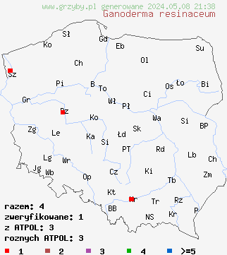 znaleziska Ganoderma resinaceum (lakownica jasnomiąższowa) na terenie Polski