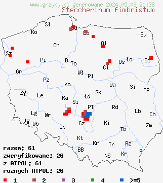 znaleziska Steccherinum fimbriatum (ząbkowiec strzępiasty) na terenie Polski