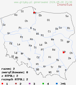 znaleziska Inonotus (błyskoporek) na terenie Polski