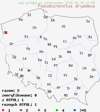 znaleziska Pseudoinonotus dryadeus (bladoporek płaczący) na terenie Polski