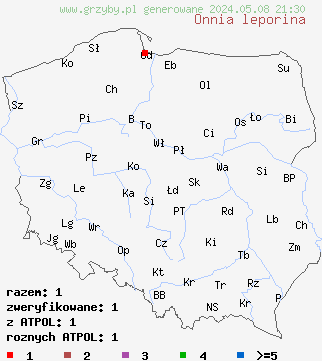 znaleziska Onnia leporina (błyskoporek świerkowy) na terenie Polski