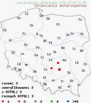 znaleziska Octaviania asterosperma (podziemka gwiaździstozarodnikowa) na terenie Polski