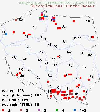 znaleziska Strobilomyces strobilaceus (szyszkowiec łuskowaty) na terenie Polski