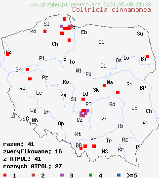 znaleziska Coltricia cinnamomea (stułka cynamonowa) na terenie Polski