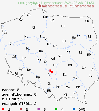 znaleziska Hymenochaete cinnamomea (szczeciniak cynamonowy) na terenie Polski
