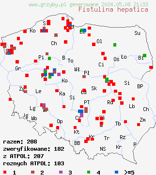 znaleziska Fistulina hepatica (ozorek dębowy) na terenie Polski
