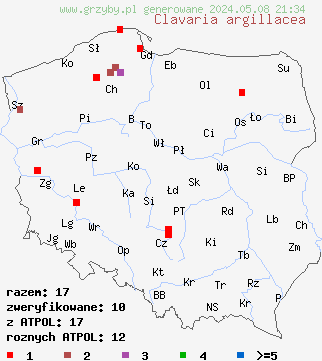 znaleziska Clavaria argillacea (goździeniec gliniasty) na terenie Polski