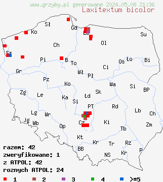 znaleziska Laxitextum bicolor (skórnikówka białobrązowa) na terenie Polski