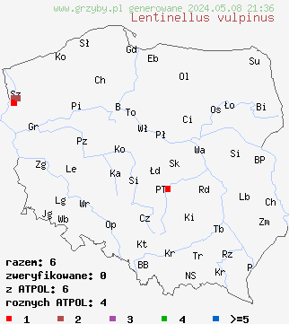 znaleziska Lentinellus vulpinus (twardówka lisia) na terenie Polski