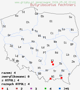 znaleziska Butyriboletus fechtneri (masłoborowik blednący) na terenie Polski