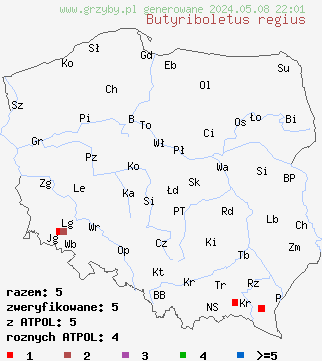 znaleziska Butyriboletus regius (masłoborowik królewski) na terenie Polski
