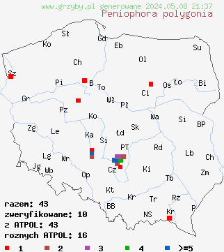 znaleziska Peniophora polygonia (powłocznica osikowa) na terenie Polski