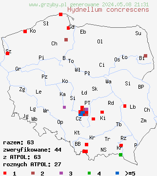 znaleziska Hydnellum concrescens (kolczakówka strefowana) na terenie Polski