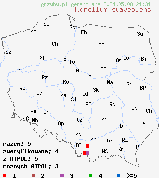 znaleziska Hydnellum suaveolens (kolczakówka wonna) na terenie Polski