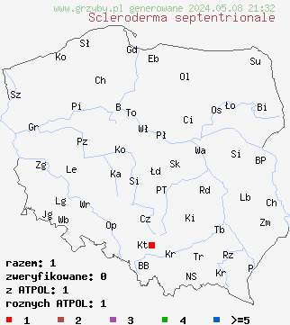 znaleziska Scleroderma septentrionale (tęgoskór korzeniasty) na terenie Polski
