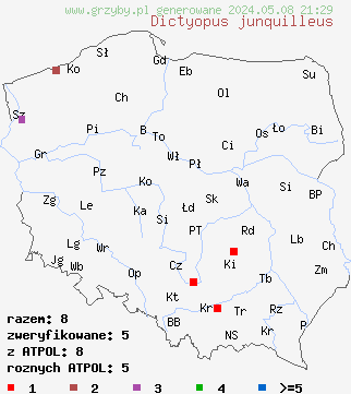 znaleziska Dictyopus junquilleus (krasnoborowik żonkilowy) na terenie Polski
