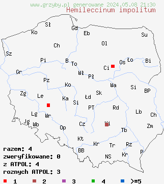 znaleziska Hemileccinum impolitum (płowiec jodoformowy) na terenie Polski