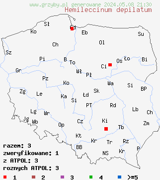 znaleziska Hemileccinum depilatum (płowiec pofałdowany) na terenie Polski
