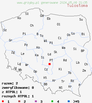 znaleziska Tulostoma (berłóweczka) na terenie Polski