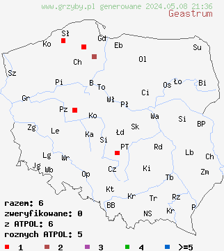 znaleziska Geastrum (gwiazdosz) na terenie Polski