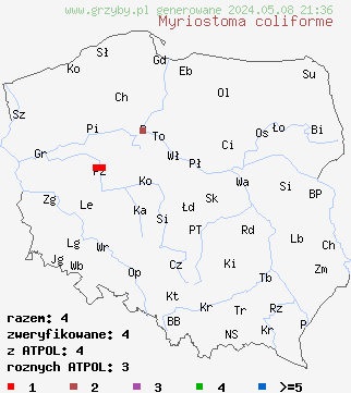 znaleziska Myriostoma coliforme (gwiazda wieloporowa) na terenie Polski