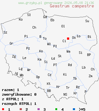 znaleziska Geastrum campestre (gwiazdosz szorstki) na terenie Polski