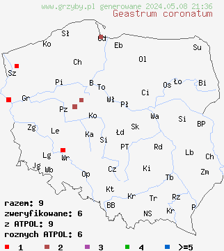 znaleziska Geastrum coronatum (gwiazdosz koronowaty) na terenie Polski