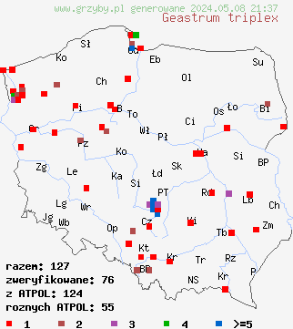 znaleziska Geastrum triplex (gwiazdosz potrójny) na terenie Polski