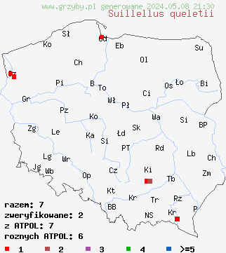 znaleziska Suillellus queletii (modroborowik gładkotrzonowy) na terenie Polski