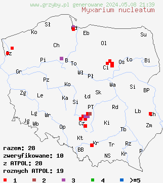 znaleziska Myxarium nucleatum (kisielnica przeźroczysta) na terenie Polski