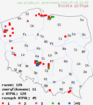 znaleziska Exidia pithya (kisielnica smołowata) na terenie Polski