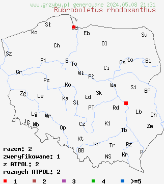 znaleziska Rubroboletus rhodoxanthus (krwistoborowik purpurowy) na terenie Polski