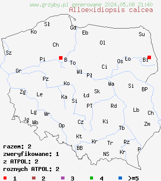 znaleziska Alloexidiopsis calcea (łojówka wapienna) na terenie Polski