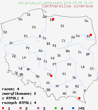 znaleziska Cantharellus cinereus (pieprznik szary) na terenie Polski