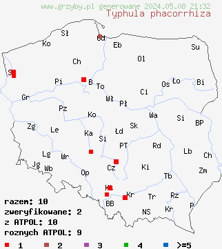 znaleziska Typhula phacorrhiza (pałecznica grubonasadowa) na terenie Polski