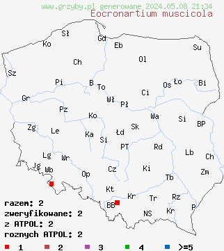 znaleziska Eocronartium muscicola (goździolepek mchowy) na terenie Polski