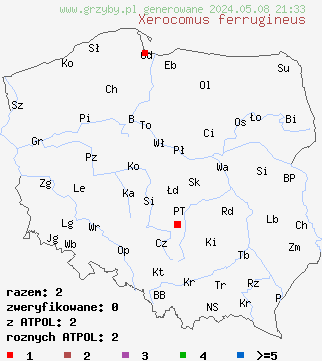 znaleziska Xerocomus ferrugineus (podgrzybek grubosiatkowany) na terenie Polski