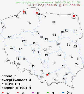 znaleziska Glutinoglossum glutinosum (lepkozorek śluzowaty) na terenie Polski