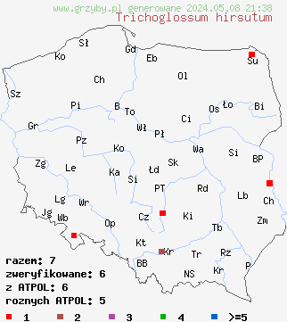 znaleziska Trichoglossum hirsutum (włosojęzyk szorstki) na terenie Polski