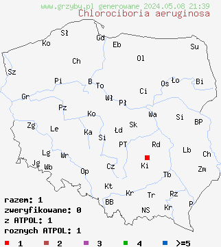 znaleziska Chlorociboria aeruginosa (chlorówka grynszpanowa) na terenie Polski