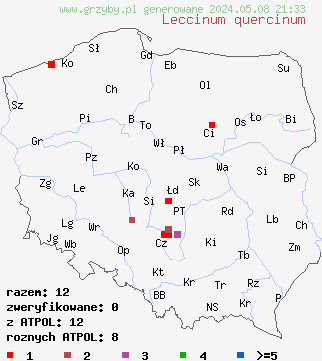 znaleziska Leccinum quercinum (koźlarz dębowy) na terenie Polski
