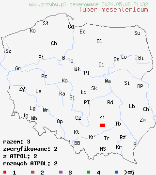 znaleziska Tuber mesentericum (trufla wgłębiona ) na terenie Polski