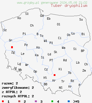 znaleziska Tuber dryophilum (trufla dębowa) na terenie Polski