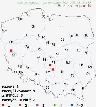 znaleziska Peziza repanda (kustrzebka wygięta) na terenie Polski