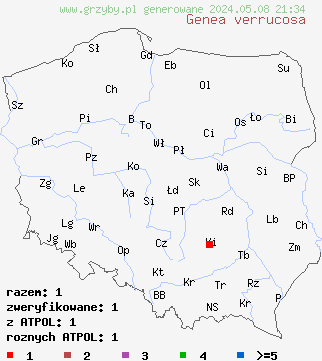 znaleziska Genea verrucosa (genea brodawkowata) na terenie Polski